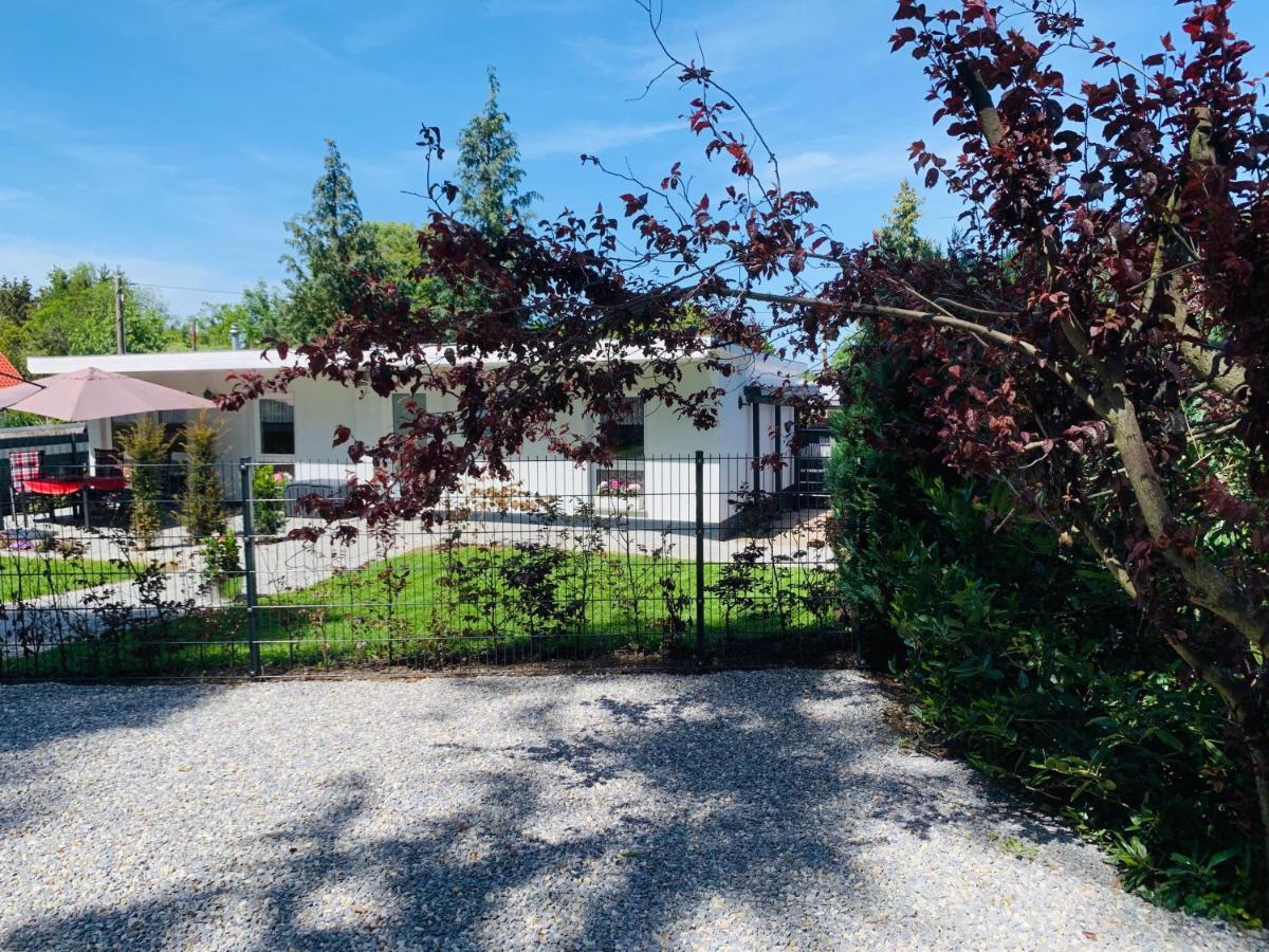 Ferienhaus 2 Im Harz Niehoff Darlingerode Екстериор снимка